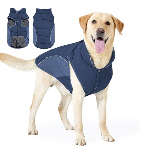 YPDOPORA Hundejacke, Reflektierender Schneeanzug, Warmer Hundemantel Mit Integriertem, Wasserdichtem Geschirr, Rollkragen, Winddichte Welpenjacke, Kuscheliger Rollkragenmantel Für Hunde,Blau,L YPDOPORA Hundejacke, Reflektierender Schneeanzug, Warmer Hundemantel Mit Integriertem, Wasserdichtem Geschirr, Rollkragen, Winddichte Welpenjacke, Kuscheliger Rollkragenmantel Für Hunde,Blau,L von YPDOPORA