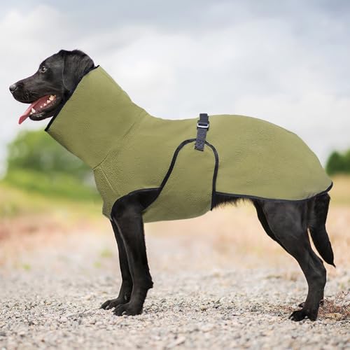 YPDOPORA Hundekleidung Für Den Winter, Warmer, Wattierter Mantel, Kuschelige Rollkragenjacke Für Hunde, Größe M, Bequemer, Weicher Haustiermantel Mit Verstellbarem Bauchgurt Für Spaziergänge,Grün,3XL YPDOPORA Hundekleidung Für Den Winter, Warmer, Wattierter Mantel, Kuschelige Rollkragenjacke Für Hunde, Größe M, Bequemer, Weicher Haustiermantel Mit Verstellbarem Bauchgurt Für Spaziergänge,Grün,3XL von YPDOPORA