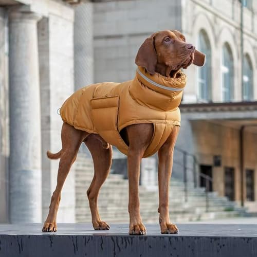YPDOPORA Hundemäntel Für Große Hunde, Wasserdicht, Für Den Winter, Rollkragenjacke Für Haustiere, Reflektierende Rollkragenjacke Für Hunde, Warmer Mantel Für Hunde Bei Kaltem Wetter,Gelb,S YPDOPORA Hundemäntel Für Große Hunde, Wasserdicht, Für Den Winter, Rollkragenjacke Für Haustiere, Reflektierende Rollkragenjacke Für Hunde, Warmer Mantel Für Hunde Bei Kaltem Wetter,Gelb,S von YPDOPORA