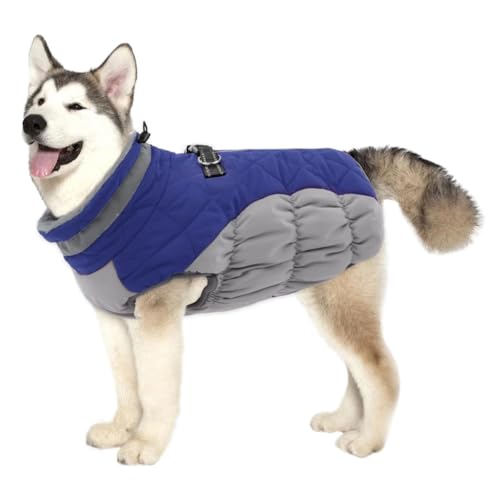 YPDOPORA Hundemäntel Für Mittelgroße Hunde, Mit Fleece Gefütterte Winterjacke Für Haustiere, Reflektierende Rollkragen-Wintermäntel Für Hunde Mit Integriertem Geschirr Für Hunde,Blau,XS YPDOPORA Hundemäntel Für Mittelgroße Hunde, Mit Fleece Gefütterte Winterjacke Für Haustiere, Reflektierende Rollkragen-Wintermäntel Für Hunde Mit Integriertem Geschirr Für Hunde,Blau,XS von YPDOPORA