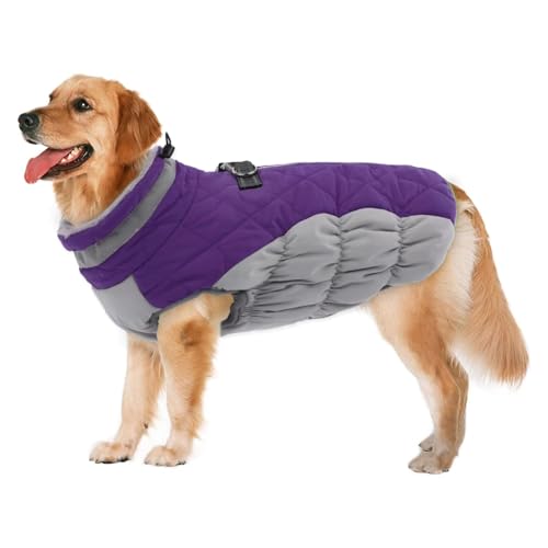 YPDOPORA Hundemäntel Für Mittelgroße Hunde, Mit Fleece Gefütterte Winterjacke Für Haustiere, Reflektierende Rollkragen-Wintermäntel Für Hunde Mit Integriertem Geschirr Für Hunde,Lila,3XL YPDOPORA Hundemäntel Für Mittelgroße Hunde, Mit Fleece Gefütterte Winterjacke Für Haustiere, Reflektierende Rollkragen-Wintermäntel Für Hunde Mit Integriertem Geschirr Für Hunde,Lila,3XL von YPDOPORA