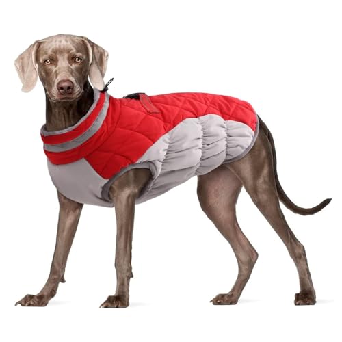 YPDOPORA Hundemäntel Für Mittelgroße Hunde, Mit Fleece Gefütterte Winterjacke Für Haustiere, Reflektierende Rollkragen-Wintermäntel Für Hunde Mit Integriertem Geschirr Für Hunde,Rot,XS YPDOPORA Hundemäntel Für Mittelgroße Hunde, Mit Fleece Gefütterte Winterjacke Für Haustiere, Reflektierende Rollkragen-Wintermäntel Für Hunde Mit Integriertem Geschirr Für Hunde,Rot,XS von YPDOPORA