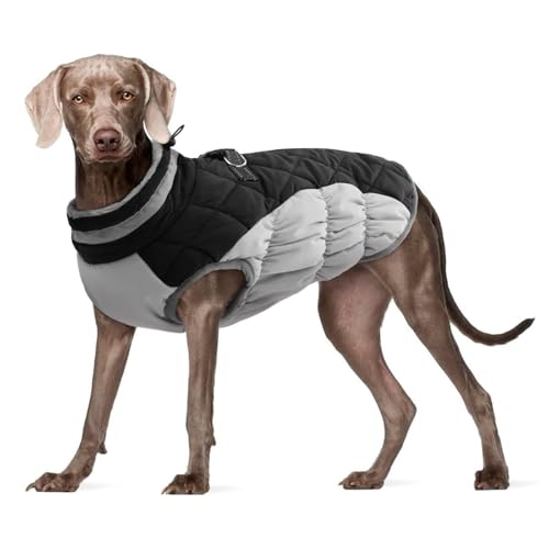 YPDOPORA Hundemäntel Für Mittelgroße Hunde, Mit Fleece Gefütterte Winterjacke Für Haustiere, Reflektierende Rollkragen-Wintermäntel Für Hunde Mit Integriertem Geschirr Für Hunde,Schwarz,XL YPDOPORA Hundemäntel Für Mittelgroße Hunde, Mit Fleece Gefütterte Winterjacke Für Haustiere, Reflektierende Rollkragen-Wintermäntel Für Hunde Mit Integriertem Geschirr Für Hunde,Schwarz,XL von YPDOPORA