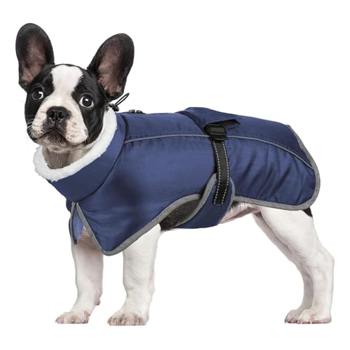 YPDOPORA Kuschelige Hundejacke Mit Rollkragen, Klein, Reflektierender Hundeschneeanzug, Warmer Mantel Für Haustiere Bei Kaltem Wetter Mit Geschirr, Wintermäntel Für Hunde,Blau,2XL YPDOPORA Kuschelige Hundejacke Mit Rollkragen, Klein, Reflektierender Hundeschneeanzug, Warmer Mantel Für Haustiere Bei Kaltem Wetter Mit Geschirr, Wintermäntel Für Hunde,Blau,2XL von YPDOPORA