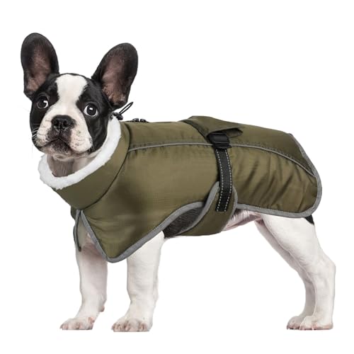 YPDOPORA Kuschelige Hundejacke Mit Rollkragen, Klein, Reflektierender Hundeschneeanzug, Warmer Mantel Für Haustiere Bei Kaltem Wetter Mit Geschirr, Wintermäntel Für Hunde,Grün,XL YPDOPORA Kuschelige Hundejacke Mit Rollkragen, Klein, Reflektierender Hundeschneeanzug, Warmer Mantel Für Haustiere Bei Kaltem Wetter Mit Geschirr, Wintermäntel Für Hunde,Grün,XL von YPDOPORA