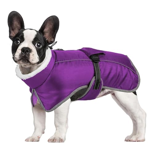YPDOPORA Kuschelige Hundejacke Mit Rollkragen, Klein, Reflektierender Hundeschneeanzug, Warmer Mantel Für Haustiere Bei Kaltem Wetter Mit Geschirr, Wintermäntel Für Hunde,Lila,2XL YPDOPORA Kuschelige Hundejacke Mit Rollkragen, Klein, Reflektierender Hundeschneeanzug, Warmer Mantel Für Haustiere Bei Kaltem Wetter Mit Geschirr, Wintermäntel Für Hunde,Lila,2XL von YPDOPORA