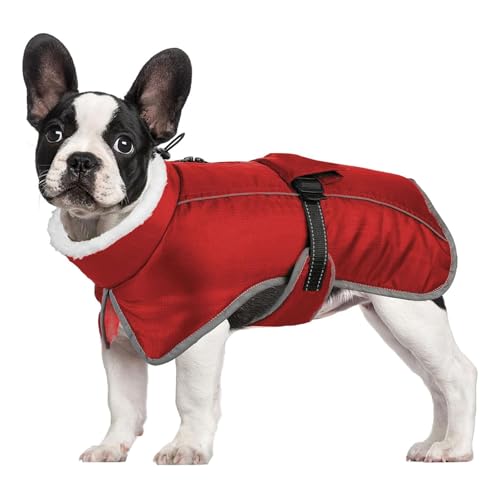 YPDOPORA Kuschelige Hundejacke Mit Rollkragen, Klein, Reflektierender Hundeschneeanzug, Warmer Mantel Für Haustiere Bei Kaltem Wetter Mit Geschirr, Wintermäntel Für Hunde,Rot,M YPDOPORA Kuschelige Hundejacke Mit Rollkragen, Klein, Reflektierender Hundeschneeanzug, Warmer Mantel Für Haustiere Bei Kaltem Wetter Mit Geschirr, Wintermäntel Für Hunde,Rot,M von YPDOPORA