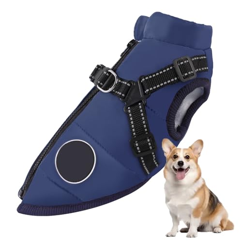 YPDOPORA Pufferjacke Für Hunde Im Winter, Dicke, Warme, Reflektierende Hundejacke, wasserdichte, Winddichte Hundemäntel Für Kleine Haustiere Mit Geschirr, D-Ring,Blau,4XL YPDOPORA Pufferjacke Für Hunde Im Winter, Dicke, Warme, Reflektierende Hundejacke, wasserdichte, Winddichte Hundemäntel Für Kleine Haustiere Mit Geschirr, D-Ring,Blau,4XL von YPDOPORA