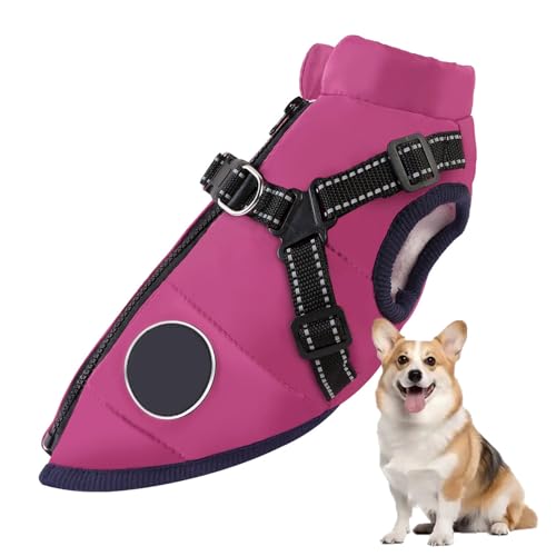 YPDOPORA Pufferjacke Für Hunde Im Winter, Dicke, Warme, Reflektierende Hundejacke, wasserdichte, Winddichte Hundemäntel Für Kleine Haustiere Mit Geschirr, D-Ring,Lila,2XL YPDOPORA Pufferjacke Für Hunde Im Winter, Dicke, Warme, Reflektierende Hundejacke, wasserdichte, Winddichte Hundemäntel Für Kleine Haustiere Mit Geschirr, D-Ring,Lila,2XL von YPDOPORA