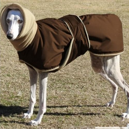 YPDOPORA Warmer Haustiermantel Für Große Hunde Bei Kaltem Wetter, Wasserdichter Wintermantel Für Hunde, Kuschelige Rollkragenjacke Mit Fleecefutter Und Loch Für Die Leine Für Hunde,Braun,5XL YPDOPORA Warmer Haustiermantel Für Große Hunde Bei Kaltem Wetter, Wasserdichter Wintermantel Für Hunde, Kuschelige Rollkragenjacke Mit Fleecefutter Und Loch Für Die Leine Für Hunde,Braun,5XL von YPDOPORA