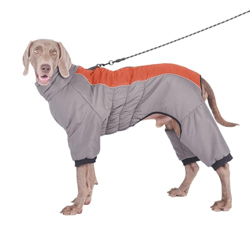 YPDOPORA Warmer Haustiermantel Für Kaltes Wetter, Größe M, Schneejacke Für Hunde Im Winter, Reflektierende, wasserdichte Hundejacke Mit Reißverschluss, Loch Für Geschirr Für Kaltes Wetter,Orange,3XL YPDOPORA Warmer Haustiermantel Für Kaltes Wetter, Größe M, Schneejacke Für Hunde Im Winter, Reflektierende, wasserdichte Hundejacke Mit Reißverschluss, Loch Für Geschirr Für Kaltes Wetter,Orange,3XL von YPDOPORA