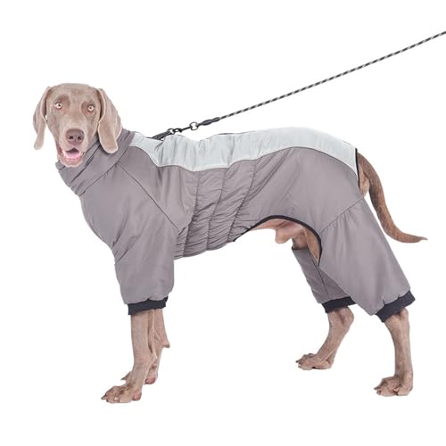 YPDOPORA Warmer Haustiermantel Für Kaltes Wetter, Größe M, Schneejacke Für Hunde Im Winter, Reflektierende, wasserdichte Hundejacke Mit Reißverschluss, Loch Für Geschirr Für Kaltes Wetter,Blau,XL YPDOPORA Warmer Haustiermantel Für Kaltes Wetter, Größe M, Schneejacke Für Hunde Im Winter, Reflektierende, wasserdichte Hundejacke Mit Reißverschluss, Loch Für Geschirr Für Kaltes Wetter,Blau,XL von YPDOPORA