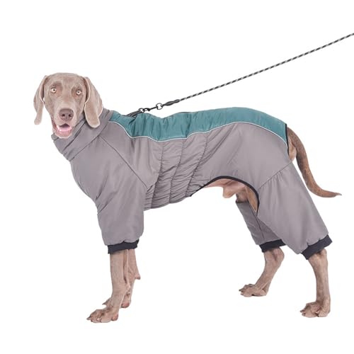 YPDOPORA Warmer Haustiermantel Für Kaltes Wetter, Größe M, Schneejacke Für Hunde Im Winter, Reflektierende, wasserdichte Hundejacke Mit Reißverschluss, Loch Für Geschirr Für Kaltes Wetter,Grün,3XL YPDOPORA Warmer Haustiermantel Für Kaltes Wetter, Größe M, Schneejacke Für Hunde Im Winter, Reflektierende, wasserdichte Hundejacke Mit Reißverschluss, Loch Für Geschirr Für Kaltes Wetter,Grün,3XL von YPDOPORA