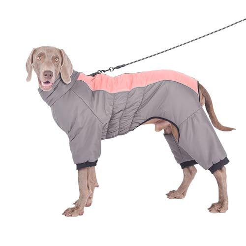 YPDOPORA Warmer Haustiermantel Für Kaltes Wetter, Größe M, Schneejacke Für Hunde Im Winter, Reflektierende, wasserdichte Hundejacke Mit Reißverschluss, Loch Für Geschirr Für Kaltes Wetter,Rosa,3XL YPDOPORA Warmer Haustiermantel Für Kaltes Wetter, Größe M, Schneejacke Für Hunde Im Winter, Reflektierende, wasserdichte Hundejacke Mit Reißverschluss, Loch Für Geschirr Für Kaltes Wetter,Rosa,3XL von YPDOPORA
