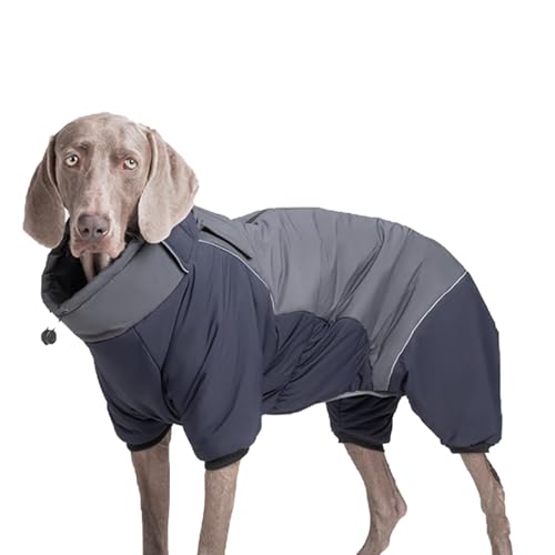 YPDOPORA Warmer Wintermantel Für Hunde, wasserdichte Haustiermäntel Für Große Hunde Im Winter, Rollkragenmantel Für Hunde Mit Reißverschluss Und Reflektorstreifen, Pufferjacke Für Hunde,Blau,2XL YPDOPORA Warmer Wintermantel Für Hunde, wasserdichte Haustiermäntel Für Große Hunde Im Winter, Rollkragenmantel Für Hunde Mit Reißverschluss Und Reflektorstreifen, Pufferjacke Für Hunde,Blau,2XL von YPDOPORA