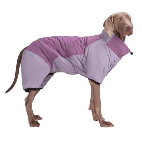 YPDOPORA Warmer Wintermantel Für Hunde, wasserdichte Haustiermäntel Für Große Hunde Im Winter, Rollkragenmantel Für Hunde Mit Reißverschluss Und Reflektorstreifen, Pufferjacke Für Hunde,Lila,3XL YPDOPORA Warmer Wintermantel Für Hunde, wasserdichte Haustiermäntel Für Große Hunde Im Winter, Rollkragenmantel Für Hunde Mit Reißverschluss Und Reflektorstreifen, Pufferjacke Für Hunde,Lila,3XL von YPDOPORA