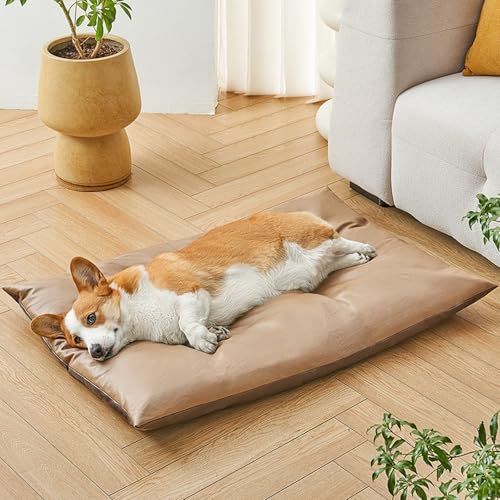 YPDOPORA Wasserdichtes Hundebett Aus Leder, Memory Foam-Hundebett Für Die Hundebox, wasserdichte Hundebetten Mittlerer Größe Mit Wasserdichtem, Waschbarem Bezug Und Rutschfester Unterseite,Braun,M YPDOPORA Wasserdichtes Hundebett Aus Leder, Memory Foam-Hundebett Für Die Hundebox, wasserdichte Hundebetten Mittlerer Größe Mit Wasserdichtem, Waschbarem Bezug Und Rutschfester Unterseite,Braun,M von YPDOPORA