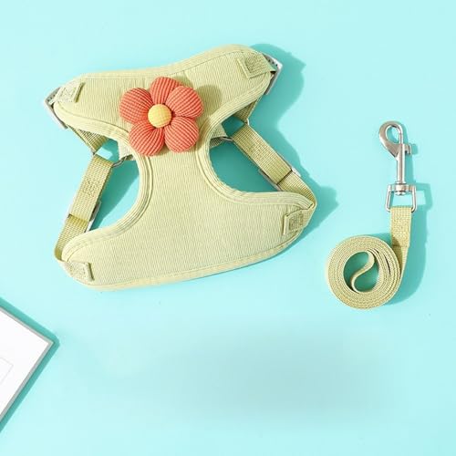 YPDOPORA Welpengeschirr & Leinen-Set, Verstellbares Haustiergeschirr Für Kleine Katzen Und Hunde, Weich Gepolstertes Katzengeschirr Mit Netzstoff, Hundeweste Für Spaziergänge Im Freien, Laufen,A,M von YPDOPORA