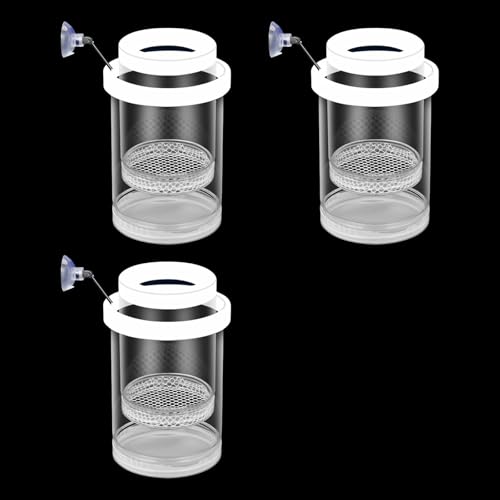 Schwimmende Zuchtbox für Babyfische und Garnelen, ideal für Zuhause und Büro, Aquarien, 3 Stück Schwimmende Zuchtbox für Babyfische und Garnelen, ideal für Zuhause und Büro, Aquarien, 3 Stück von YPREWY