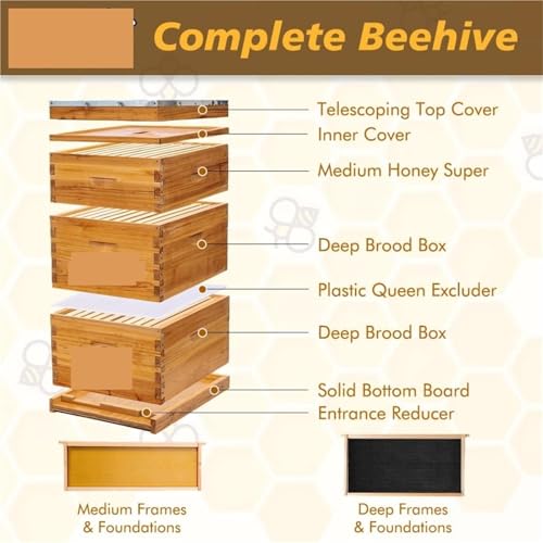 YQVEOT 10-Rahmen-Bienenstock in Bienenwachs getaucht, komplette Bienenstöcke und Zubehör Starter-Kit enthält 2 Tiefe Bienenstock Bienenkästen und 1 für den Imker YQVEOT 10-Rahmen-Bienenstock in Bienenwachs getaucht, komplette Bienenstöcke und Zubehör Starter-Kit enthält 2 Tiefe Bienenstock Bienenkästen und 1 für den Imker von YQVEOT