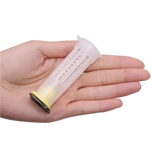 YQVEOT 270 Stück Bienenzuchtwerkzeuge Fruchtbarkeitskönig-Sockelschutz Strebschutz Königinnenkäfigabdeckung für den Imker YQVEOT 270 Stück Bienenzuchtwerkzeuge Fruchtbarkeitskönig-Sockelschutz Strebschutz Königinnenkäfigabdeckung für den Imker von YQVEOT