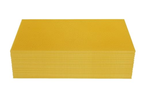 YQVEOT 30Pcs Honeycomb Wachs Rahmen Bienenzucht Foundation Honey Bee Hive Werkzeug für den Imker YQVEOT 30Pcs Honeycomb Wachs Rahmen Bienenzucht Foundation Honey Bee Hive Werkzeug für den Imker von YQVEOT