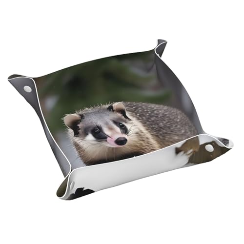 Opossum im Schnee bedrucktes Ledertablett Schreibtisch-Aufbewahrung, Auffangbehälter, dekoratives Tablett, Nachttisch-Caddy-Tablett Opossum im Schnee bedrucktes Ledertablett Schreibtisch-Aufbewahrung, Auffangbehälter, dekoratives Tablett, Nachttisch-Caddy-Tablett von YQxwJL