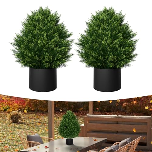 YRHome 2er Künstlicher Buchsbaum 60cm Kleine Zedernbaum Künstliche Pflanzen Zeder Buchsbaum mit Topf Grünpflanzen Zimmerpflanze Dekopflanze UV Geschützt für Schlafzimmer Wohnzimmer Büro Deko YRHome 2er Künstlicher Buchsbaum 60cm Kleine Zedernbaum Künstliche Pflanzen Zeder Buchsbaum mit Topf Grünpflanzen Zimmerpflanze Dekopflanze UV Geschützt für Schlafzimmer Wohnzimmer Büro Deko von YRHome
