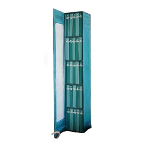 2025 Mini Ornament Adventskalender | Bücher Liebhaber Adventskalender mit 24 Buch-Geschenken | Weihnachtsbücher Countdown Kalender & Urlaub Dekorationen von YRSM-MR