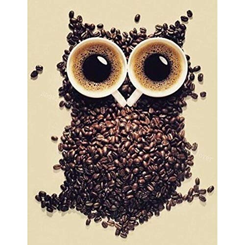 YRTMHU 5D Diamant Malerei Kinder Mädchen Kit Kaffee abstrakte Eule DIY Diamond Painting Set Vollbohrer Crystal Strass Stickerei Malerei für Haus Wand Und Eingang (45x60cm) von YRTMHU
