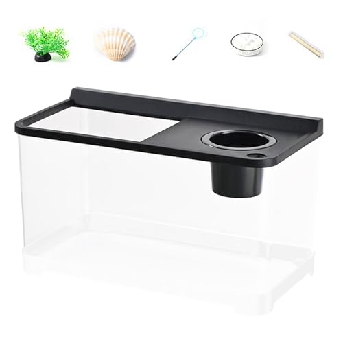 YRTUOP Kleines Aquarium Mit 3 Farben Beleuchtung | Dekoratives Fischbecken - Hydroponisches Tischaquarium Für Tischlandschaft Home Arbeitsplatz Eingangsbereich Schlafzimmer YRTUOP Kleines Aquarium Mit 3 Farben Beleuchtung | Dekoratives Fischbecken - Hydroponisches Tischaquarium Für Tischlandschaft Home Arbeitsplatz Eingangsbereich Schlafzimmer von YRTUOP