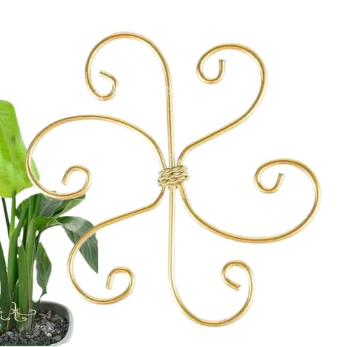 YRTUOP Pflanzenstütze, Eisen Verstellbarer Wiederverwendbarer Pflanzenstütze Stabilisator, Gartenbedarf Für Balkon Zuhause Gewächshaus Geldbaum Orchidee von YRTUOP