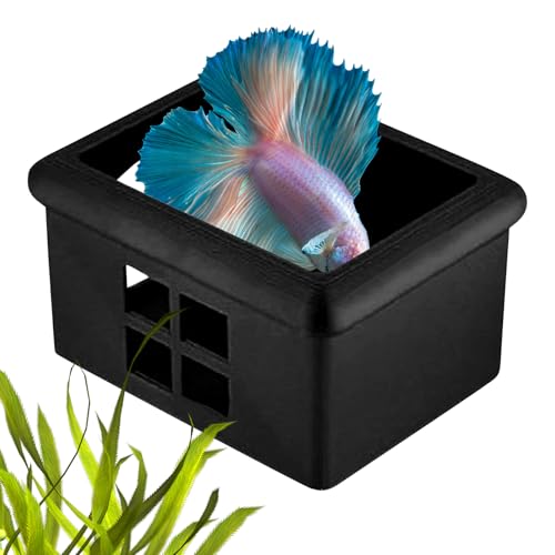 YRTUOP Schwimmendes Aquarium Versteck,Schwebende Höhle Als Futterplatz, Ruhezone & Schutzraum | Dekorative Zuchtbox mit Fenster für Aquarium Büro Wohnzimmer Fischbegeisterte von YRTUOP