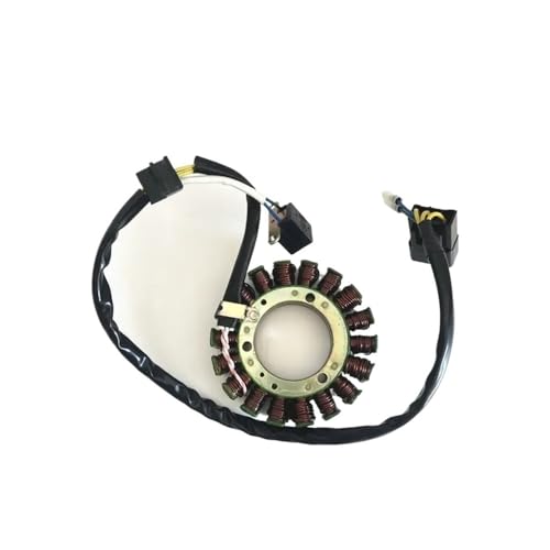 YRcEKH Magnetischer Stator passend for CF Moto 500 cc 600 cc ATV UTV Teil 0180-032000 X5/X6/Z6 Modelle CF188 und CF196 Motor von YRcEKH