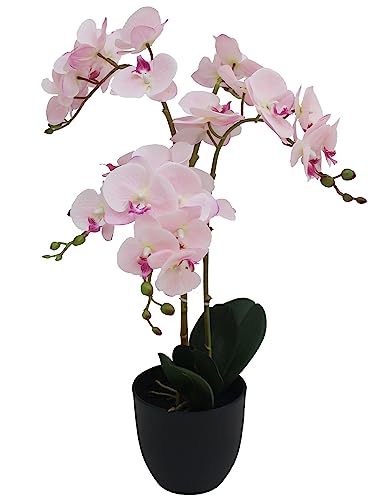 YS Künstliche Orchidee Orchid mit Topf ca. 60 cm hoch Kunstpflanzen künstliche Pflanzen Pflanze künstlich Kunstpflanze Pflanzen künstlich künstliche Pflanze Deko Dekoration Geschenk (JWP3081) von YS