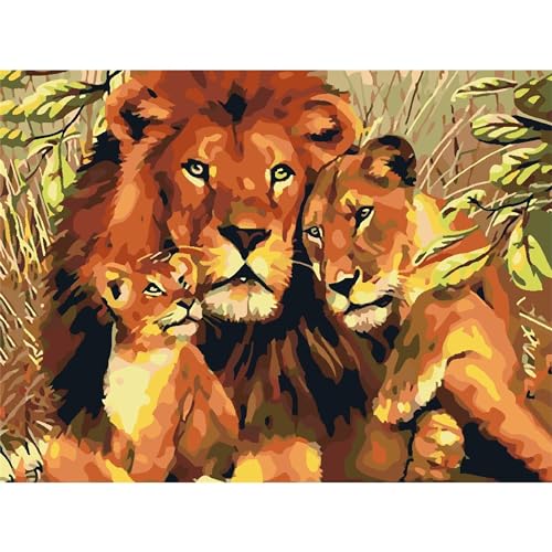 Malen Nach Zahlen Für Erwachsene Löwenfamilie Diy Leinwand Ölgemälde Kits Anfänger Hause Wanddekor Geschenke 40X50cm von YSCOLOR