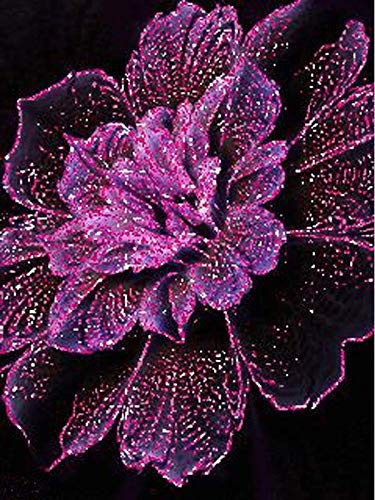 YSCOLOR Diamant Painting 5D DIY Diamant Malerei Feuerwerk Volle Runde Wandbild Diamant Stickerei Blume Kreuzstich Kit Mosaik Wohnkultur 30X40cm von YSCOLOR