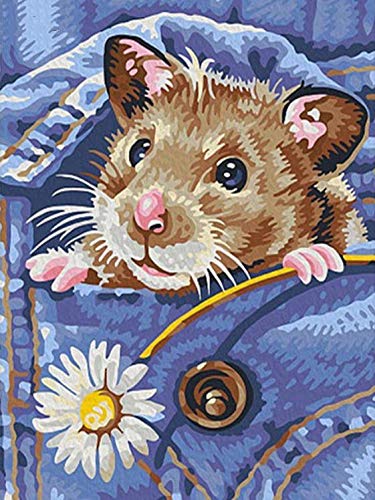 YSCOLOR Diamant Painting 5D DIY Diamant Malerei Hamster Vollbohrer Bilder von Strass Dekor Hause Blumen Mosaik Diamant Stickerei Tiere 30X40cm von YSCOLOR