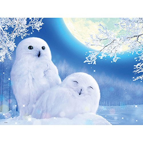YSCOLOR Diamant Painting 5D DIY Diamant Malerei Winter Eule Kreuzstich Diamant Mosaik Kits Dekoration Volle Runde Diamant Stickerei Tier Eule 30X40cm YSCOLOR Diamant Painting 5D DIY Diamant Malerei Winter Eule Kreuzstich Diamant Mosaik Kits Dekoration Volle Runde Diamant Stickerei Tier Eule 30X40cm von YSCOLOR