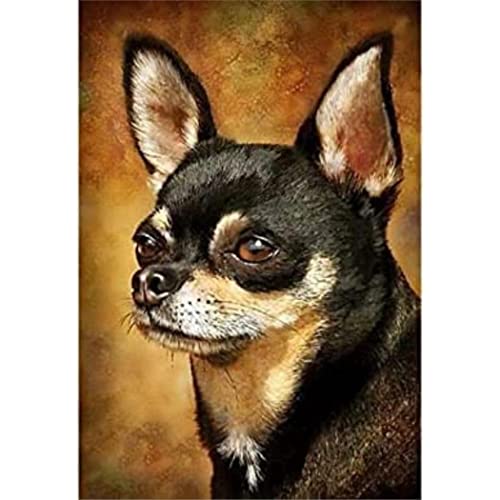 YSCOLOR Diamant Painting 5D Diamant Malerei Kits Chihuahua Hund Diy Full Drill Strass Stickerei Bilder Diamond Art Kits Für Erwachsene Geschenk Z1853 30x40cm von YSCOLOR