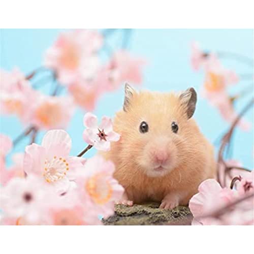 YSCOLOR Diamant Painting 5D Diamant Malerei Kits Hamster Pink Flower Diy Full Drill Strass Stickerei Bilder Diamond Art Kits Für Erwachsene Geschenk Z1227 30x40cm von YSCOLOR