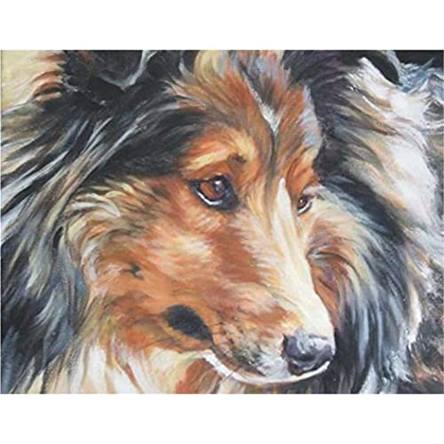 YSCOLOR Diamant Painting 5D Diamant Malerei Kits Shetland Dog Diy Full Drill Strass Stickerei Bilder Diamond Art Kits Für Erwachsene Geschenk Z1873 30x40cm von YSCOLOR