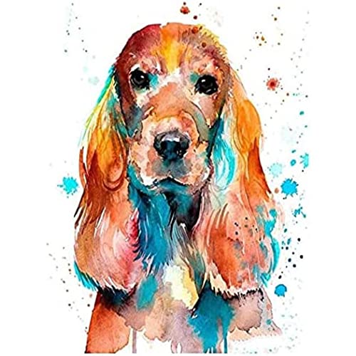 YSCOLOR Diamant Painting Diamant Malerei 5D Diy Kits Strass Diamond Art Kits Für Kinder English Cocker Spaniel Dog Warme Wanddekoration 30x40cm von YSCOLOR