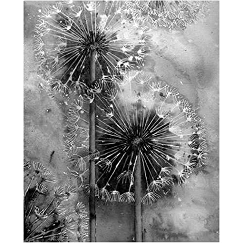 YSCOLOR Diamant Painting Diy 5D Diamant Malerei Kits Schwarz Weiß Löwenzahn Erwachsene Diamantkunst Vollstickerei Gemälde Strass Kunsthandwerk 30x40cm von YSCOLOR