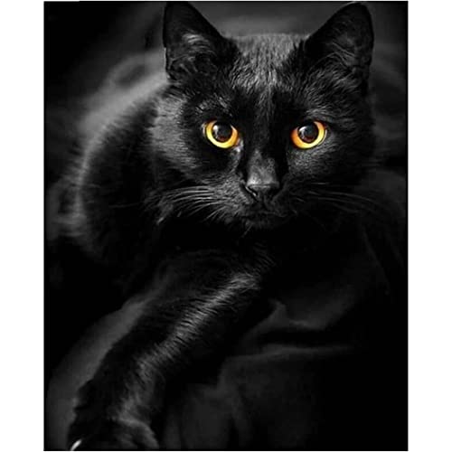 YSCOLOR Diamant Painting Diy Diamant Malerei Kits Für Erwachsene Kinder Rundbohrer Schwarze Katze Vollbohrer Strass Stickerei Bild Kunsthandwerk 30x40cm von YSCOLOR