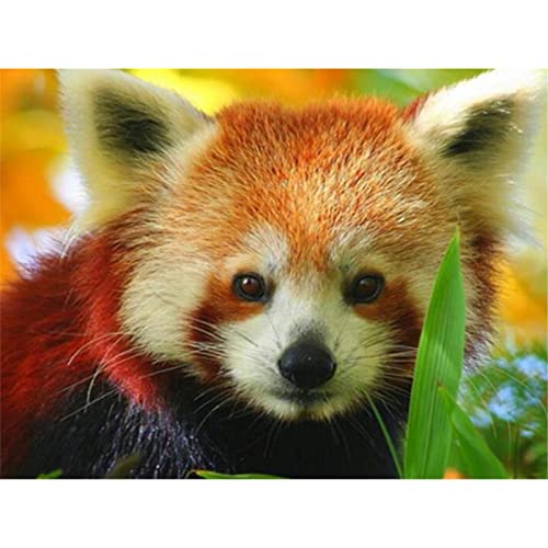 YSCOLOR Diamant Painting Full Gear Diamant Malerei Kit 5D Runde Stickerei Roter Panda Tiermuster Mosaik Wandaufkleber Kristall Hand 30X40cm von YSCOLOR