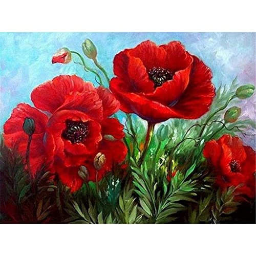 YSCOLOR Diamant Painting Rote Mohnblumen Bild Hand Voller Diamanten Runde 2019 Diamant Kreuzstich Geschenk Home Decor DIY 5D Diamant Malerei 30X40cm YSCOLOR Diamant Painting Rote Mohnblumen Bild Hand Voller Diamanten Runde 2019 Diamant Kreuzstich Geschenk Home Decor DIY 5D Diamant Malerei 30X40cm von YSCOLOR