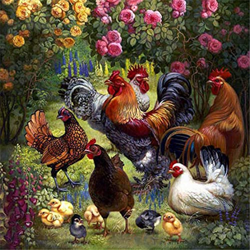 YSCOLOR Diamant Painting Strass Diamant Stickerei Huhn Hahn Baby 5D DIY Diamant Malerei Kreuzstich Handwerk Runde 2019 Wohnkultur 30X30Cm von YSCOLOR
