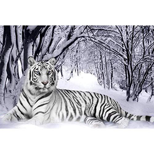 YSCOLOR Diamant Painting Volle Runde Bohrer 5D DIY Diamant Malerei White Tiger 3D Strass Stickerei Kreuzstich 5D Strass Home Decor Geschenk 30X40Cm von YSCOLOR