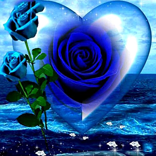 YSCOLOR Diamant Painting Von Einrichtungsdekor Volle 5D DIY Diamant Malerei Blaue Rose Stickerei Kreuzstich Strass 2019 Malerei 30X30Cm von YSCOLOR
